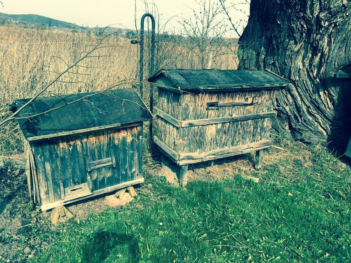 Apartamenty I Pokoje Aneta Piechowice (Karkonosze) Exterior foto